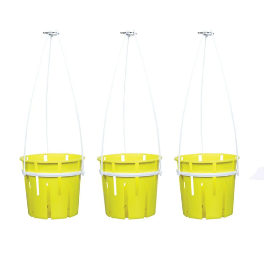 Avant Hanging Orchid 3 Pot Set Avant