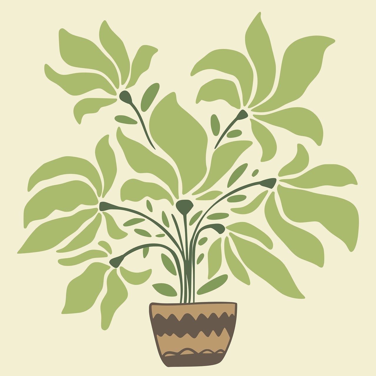 Plants & Garden - abulze.online