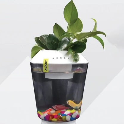 Avant Beta Pot 2.5L Fish Tank with Planter - White, 2 - in - 1 Aquarium & Planter for Small Fish, Phothos, Lucky Bamboo, Philodendron - abulze.online