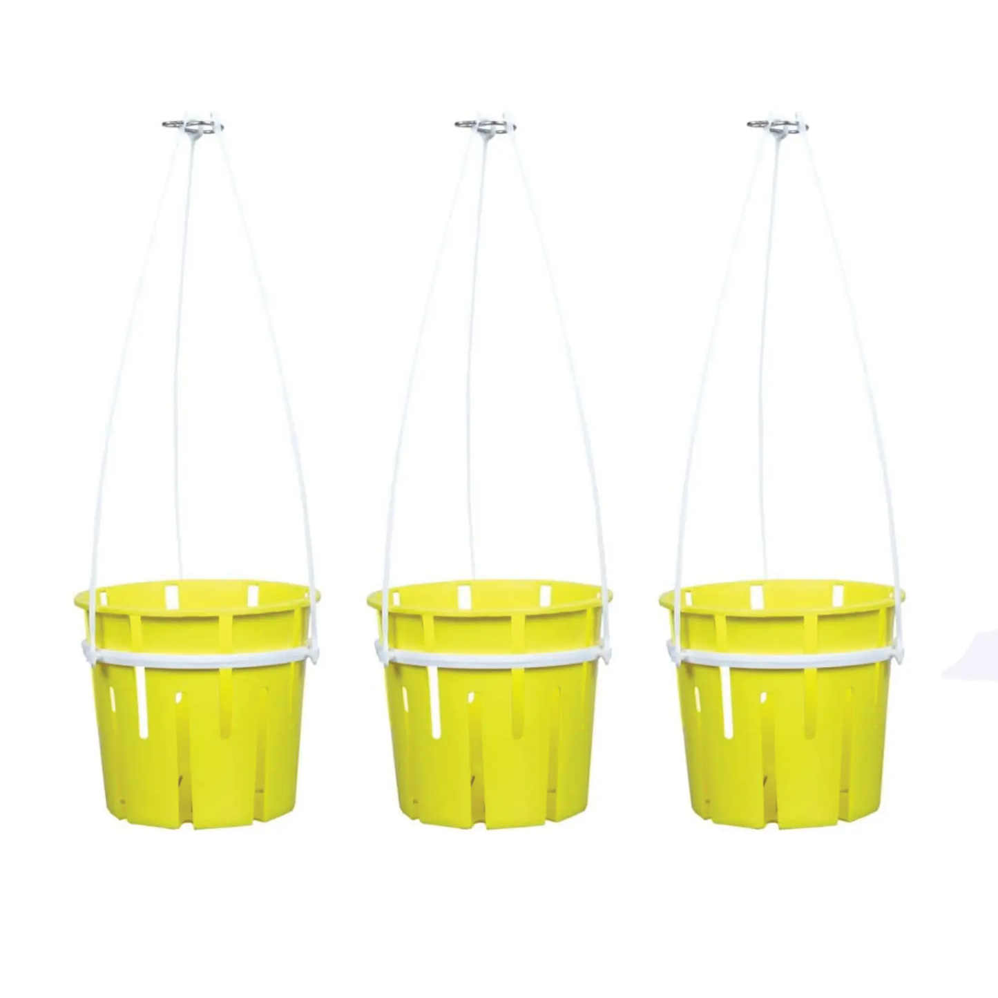Avant Hanging Orchid 3 Pot Set Avant