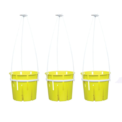 Avant Hanging Orchid 3 Pot Set Avant