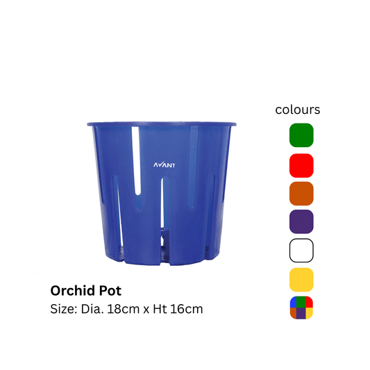 Avant Orchid Pot Set of 6 - abulze.online