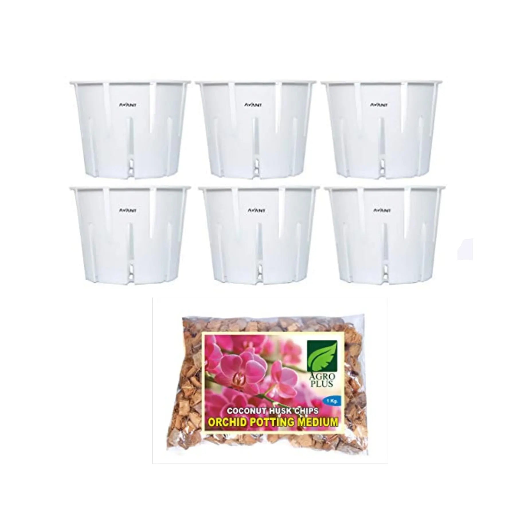 Avant Orchid Pot Set of 6 White with Coconut Husk Chips 1kg - abulze.online