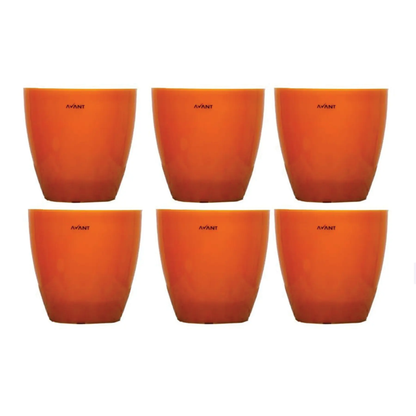 Avant Smart Self Watering Pot 1 Litre (6 Nos) Avant