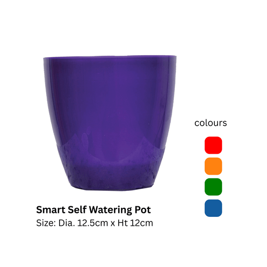 Avant Smart Self - Watering Pot 1L – Set of 3 (Indoor/Outdoor, Plastic) - abulze.online