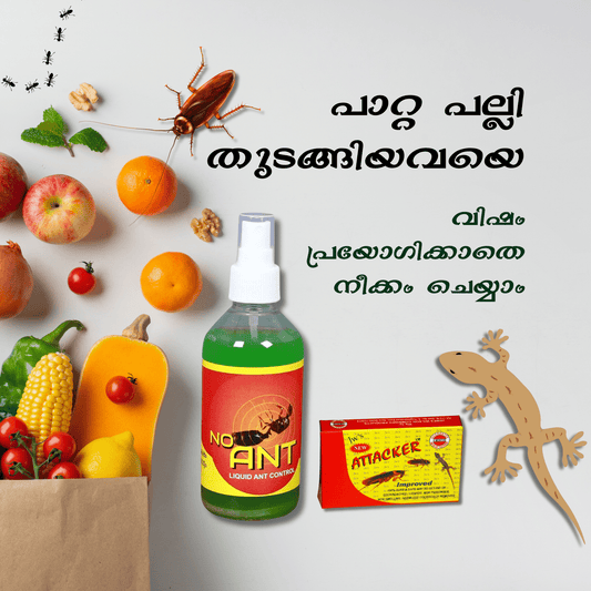 Pest - Off Combo – Plant - Based No Ant Spray 200ml & New Attacker Gel 80g - abulze.online